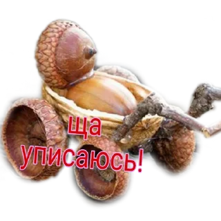 Стикер Жёлики - 3