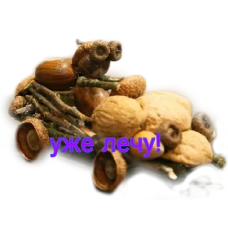 Стикер Жёлики - 0