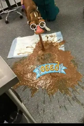 СМС земля искусство