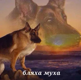 Sticker йомайо - 8