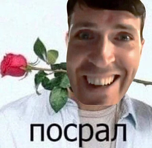 цветок человеческое лицо СМС