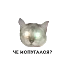 Sticker Жопа немытая - 6