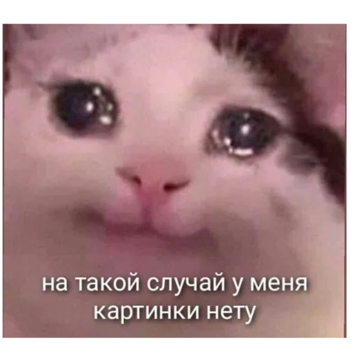 Sticker Jopamakaki09 - 1