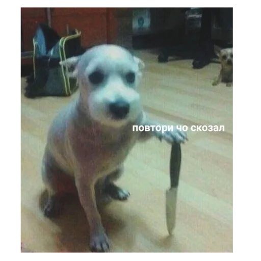 Sticker Jopamakaki09 - 1