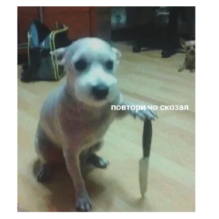 Sticker Попа макаки - 0