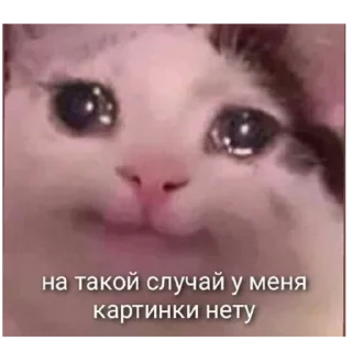 Sticker Попа макаки - 6