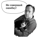 порода собак домашнее животное животное