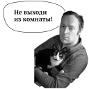 животное млекопитающее кролик