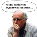 млекопитающее животное рыло