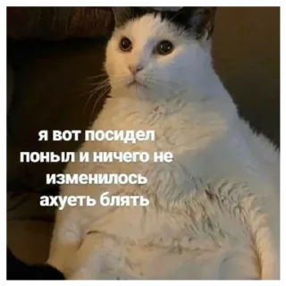 Sticker Все стикеры 🔜 @TgStickerRobot - 11