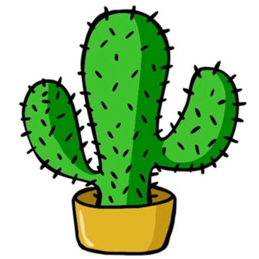 растение кактус цветочный горшок