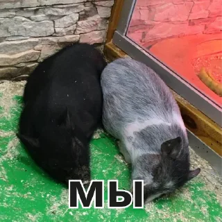 Sticker дрочильня - 4