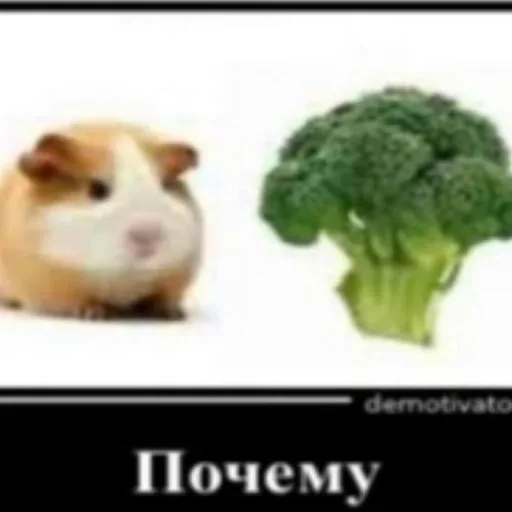 Sticker Ирусик :: @fStikBot - 4