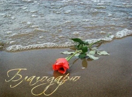 Sticker Ирусик :: @fStikBot - 1