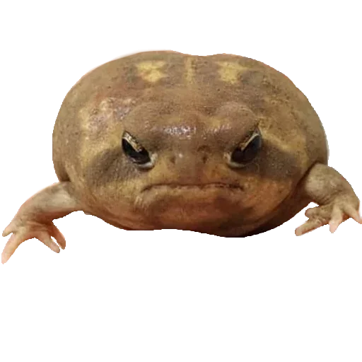 Sticker Jubas_393 - 1