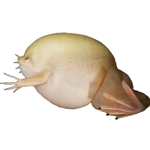 Sticker Jubas_393 - 1