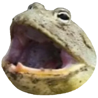 Стикер Жабы - @Anime_Aliexpresss - 5