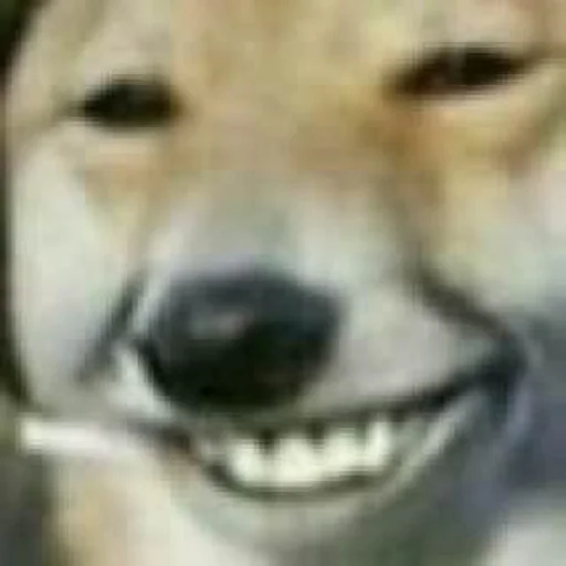 Sticker RandomGovno - 9