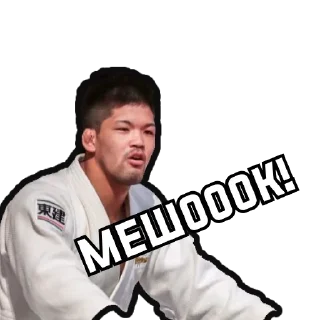 Sticker Judo News - 11