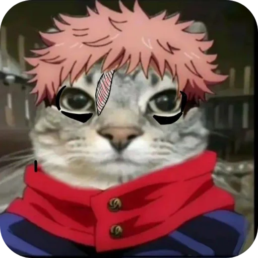 Sticker Jujitsu_Cat - 1