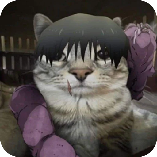 Sticker Jujitsu_Cat - 1