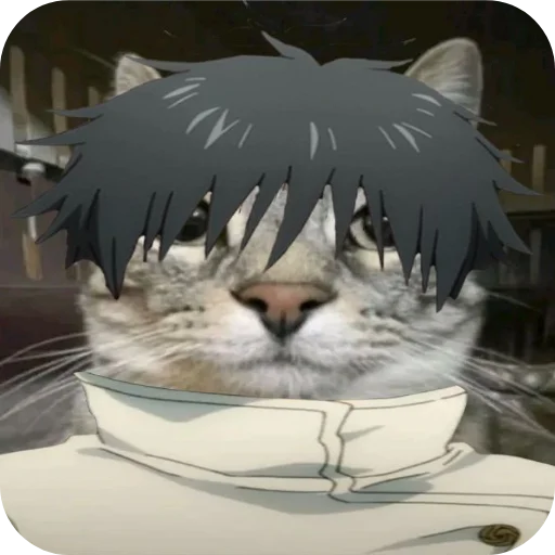 Sticker Jujitsu_Cat - 1