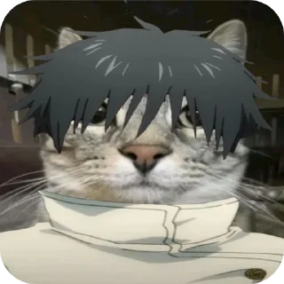 Sticker Jujitsu Catson - 6