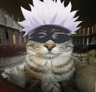 Sticker Jujitsu Catson - 4