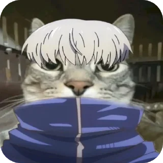 Sticker Jujitsu Catson - 8