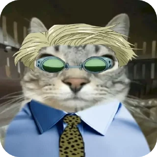 Sticker Jujitsu Catson - 2