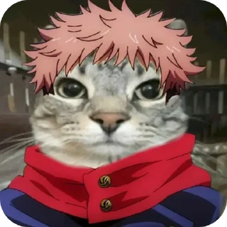 Sticker Jujitsu Catson - 11