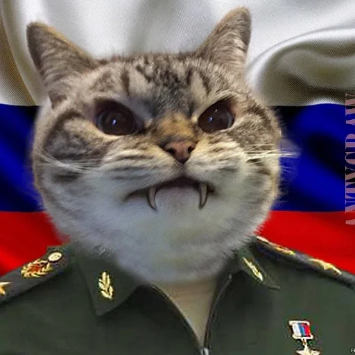 Стикер JullyBull - 1