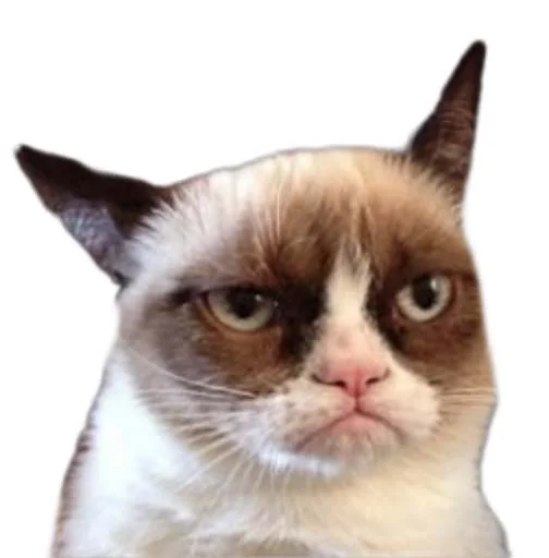 Sticker JullyBull - 1