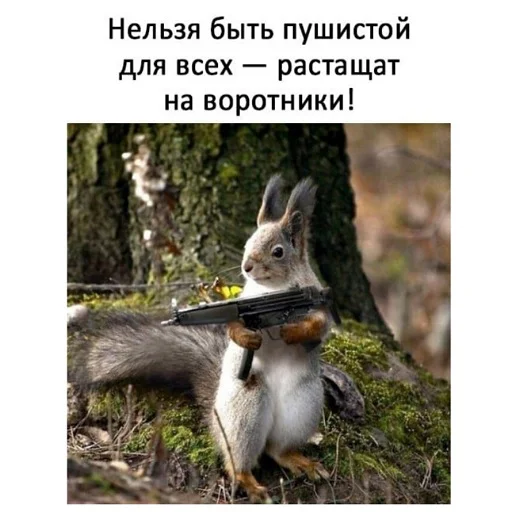 Sticker JullyBull - 1