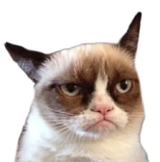 Стикер JullyBull - 11