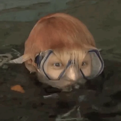 Стикер Jungkook ( @Bts_stickers1) - 6