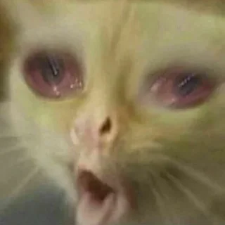 Sticker Jungle Village - 0