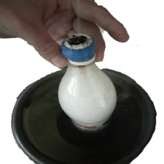 Sticker Jungle Village - 7