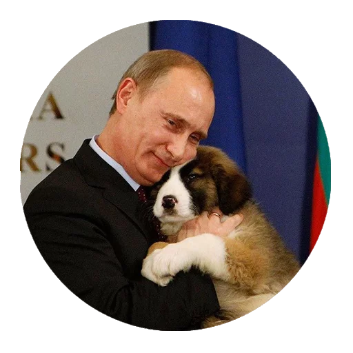 Человек домашнее животное порода собак