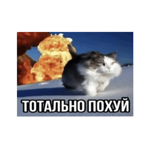 Sticker Jwjsjsjdj - 1