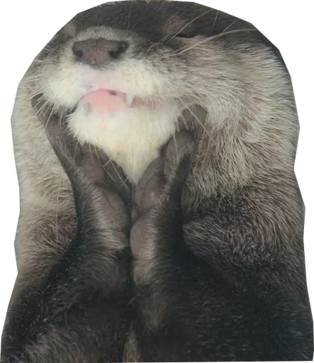 Sticker JynusvbxGquEpEte_by_stickers_stealer_bot - 1