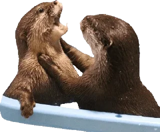 Sticker Создай свои стикеры - @sozdsti_bot - 3