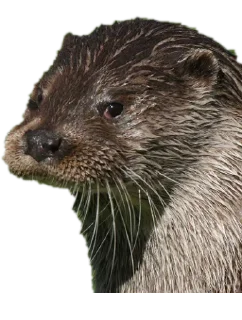 Sticker Создай свои стикеры - @sozdsti_bot - 9