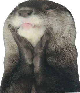 Sticker Создай свои стикеры - @sozdsti_bot - 11