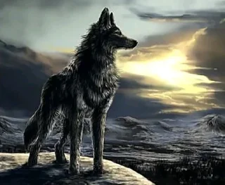 Стикер Больше стиков тут: @stikery4 - 10