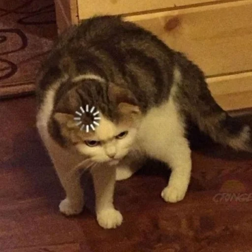 Sticker @K0TEH0K спизжено by @fStikBot - 11