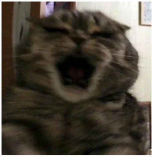 Sticker @K0TEH0K спизжено by @fStikBot - 8