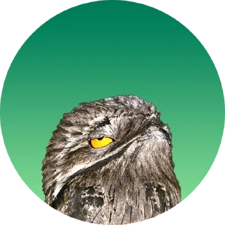 Sticker Козодой - 3