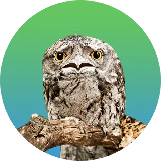 Sticker Козодой - 1