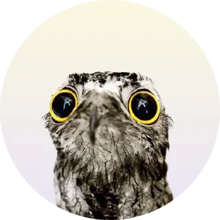 Sticker Козодой - 2